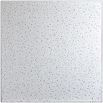 Palmeta Lobby. Fibra Mineral. 60 X 60. Cielo Falso